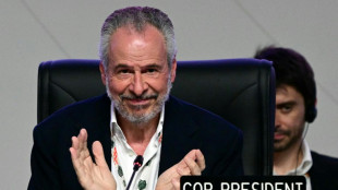 En Amazonie, le monde se contente d'une preuve de vie de la coop&eacute;ration climatique