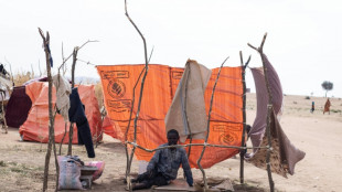 Autoridades apoyadas por el ej&eacute;rcito en Sud&aacute;n estudiar&aacute;n una propuesta de tregua de EEUU