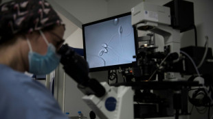 PMA, IA et autres questions sensibles: lancement des Etats g&eacute;n&eacute;raux de la bio&eacute;thique