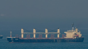 Lentid&atilde;o em exporta&ccedil;&otilde;es de cereais da Ucr&acirc;nia preocupa ONU