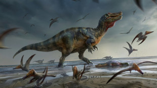 Descubierto en la isla de Wight un dinosaurio que fue quizás el mayor depredador de Europa