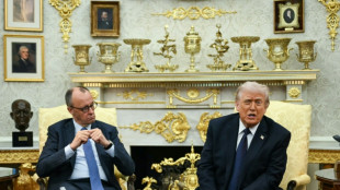 Trump y Merz, "en la misma sinton&iacute;a" sobre Ir&aacute;n