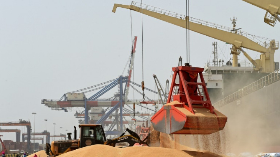 El embargo indio y la amenaza de sequ&iacute;a disparan el precio del trigo