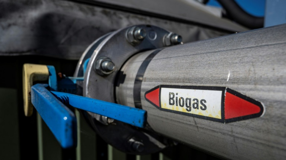 Sturz in Biogasanlage in Niedersachsen: 19-J&auml;hrige stirbt nach Arbeitsunfall