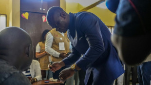 Présidentielle au Gabon: le scrutin prend fin sans incident notable