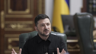 Zelensky, 'pronti ad andare avanti con il piano di pace'