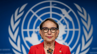 Costa Rica's Grynspan pledges reform in bid for UN chief job