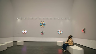 Rebooted Harlem museum celebrates rise of Black art