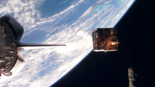 Esa e Asi,da Italia risultati straordinari in Osservazione Terra