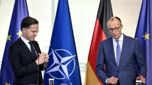 Merz: Vorschläge zu "territorialen Zugeständnissen" der Ukraine an Trump übermittelt