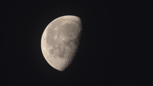 Vista la prima luna aliena, &egrave; attorno a una stella morta