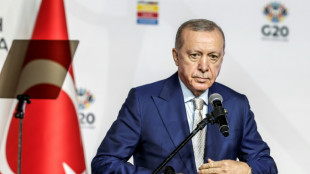 Cuatro años de cárcel para un periodista turco por "amenazas" a Erdogan