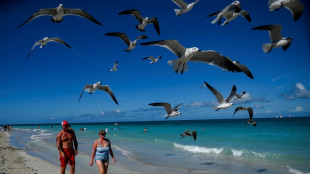 Amargas vacaciones de rusos en Cuba por invasión a Ucrania