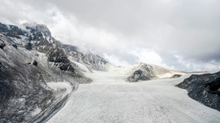 Neuer Nationalpark in Chile soll Gletscher vor Klimafolgen schützen