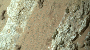 Rocas halladas en Marte pueden ser indicio de vida antigua, dice la NASA