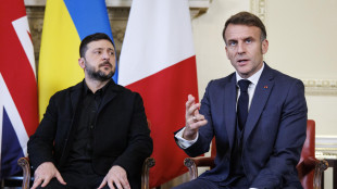 Macron, a gennaio incontro dei Volenterosi a Parigi per gli aiuti all'Ucraina