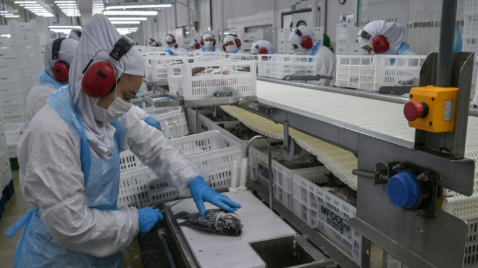 Emprego no Brasil resiste novamente &agrave;s tarifas dos EUA