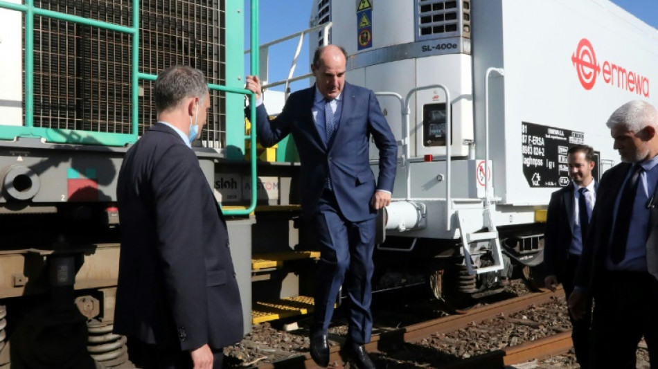 D&eacute;carbonation: l'Occitanie inaugure l'autoroute ferroviaire S&egrave;te-Calais