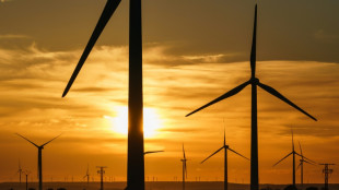 EU will struggle to secure key raw materials supply, warns report