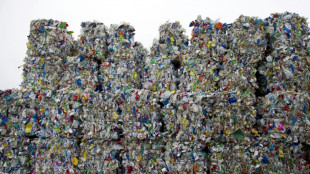 Recycling "funktioniert": Zahlen widerlegen laut Umweltbundesamt Abfallmythen