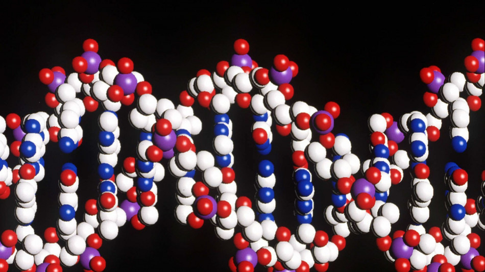 Dal Dna ambientale la scoperta di un nuovo abitante del Mediterraneo
