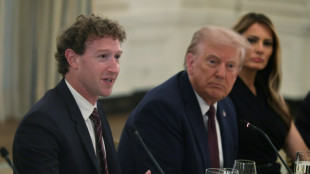 US tech titans pay hommage to Trump at White House dinner