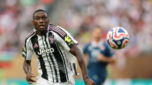 France striker Kolo Muani completes Spurs loan move