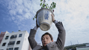 'No Other Choice', uccidere la concorrenza per lavorare