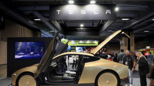 Tesla profits drop but top analyst estimates 