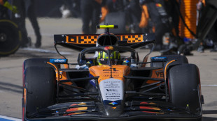 F1: Norris in pole in Messico, Ferrari con Leclerc in prima fila