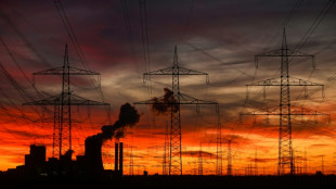 KfW fordert "Atempause" f&uuml;r deutsche Industrie - und sieht auch Z&ouml;lle als Instrument