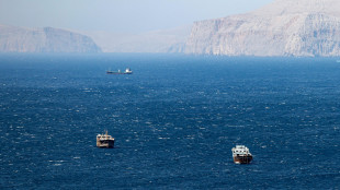 'Cinque morti e quattro feriti in attacco a citt&agrave; portuale sul Golfo Persico'