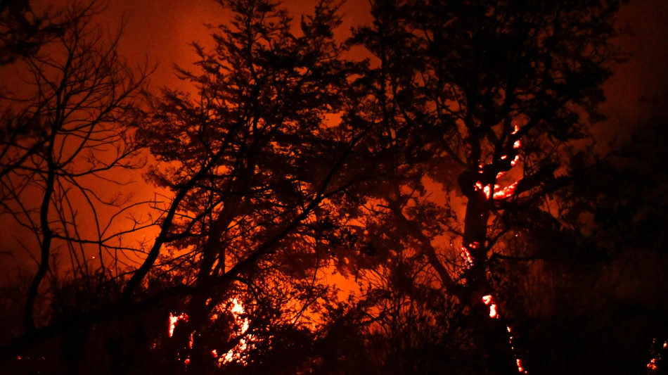 Satelliti Ue rilevano i maggiori incendi in 20 anni in Patagonia