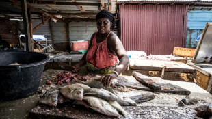 Poissons avari&eacute;s, commerces au ralenti: les Gambiens exasp&eacute;r&eacute;s par les coupures &eacute;lectriques