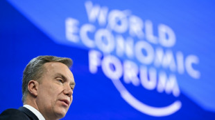 Davos forum opens probe into CEO Brende's Epstein links