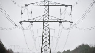 Reiche: Neue Stromleitungen sollen wieder oberirdisch gebaut werden 