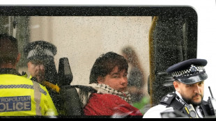 HRW warns right to protest 'under attack' in UK