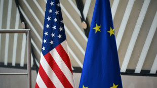 Bundesregierung weist Kritik an Europa in US-Sicherheitsstrategie zur&uuml;ck
