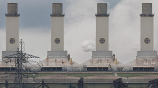 Prosegue il ribasso del gas sotto i 30 euro ad Amsterdam