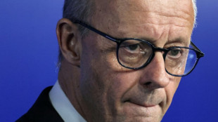 Berlin doute ouvertement de l'avenir de l'avion de combat franco-allemand