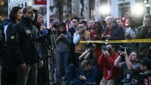Dois membros da Guarda Nacional em 'estado cr&iacute;tico' ap&oacute;s serem baleados perto da Casa Branca