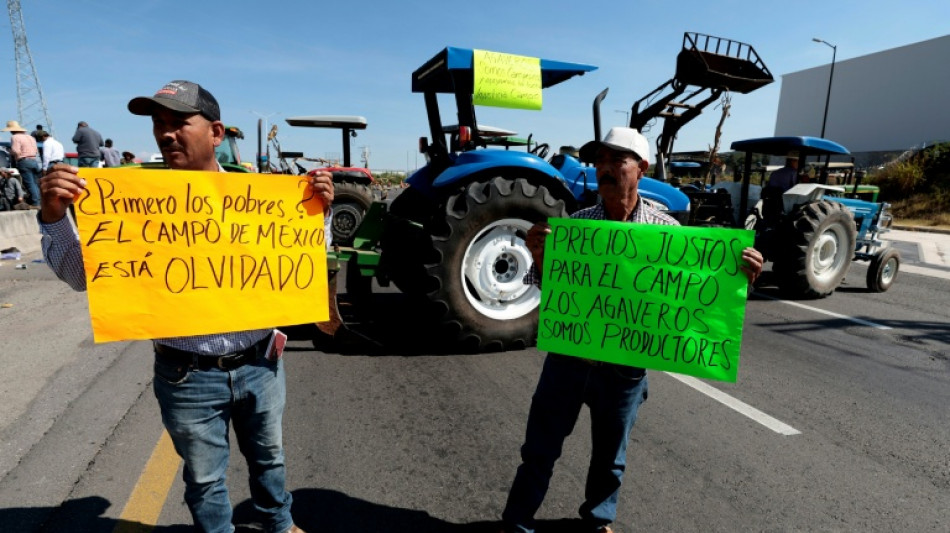 La economía mexicana cae un 0,3% interanual en el tercer trimestre