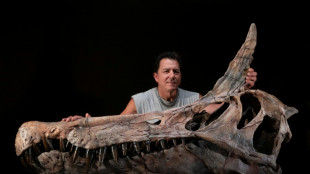 Au Niger, d&eacute;couverte in&eacute;dite d'un dinosaure surnomm&eacute; le "h&eacute;ron infernal"