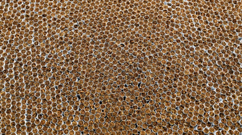 Zoll beschlagnahmt weit über fünf Millionen unversteuerte Zigaretten in Paketen