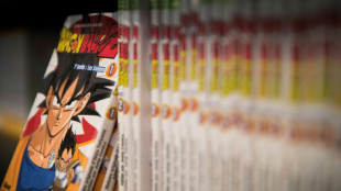 Francia busca cerrar un acuerdo sobre un parque tem&aacute;tico durante visita del pr&iacute;ncipe saudita
