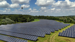 Installierte Leistung erneuerbarer Energien steigt um zwölf Prozent