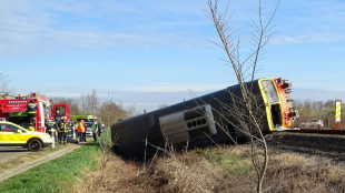 Cinco muertos en una colisión entre un tren y un vehículo en Hungría