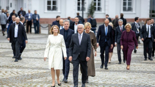 Steinmeier berät mit europäischen Präsidenten in Tallin über KI und Sicherheit