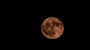 Sulla Luna il pi&ugrave; grande cratere di recente formazione del Sistema solare