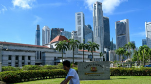 Parlament in Singapur aufgelöst - Neuwahlen am 3. Mai
